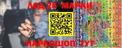 СК Заводоуковск