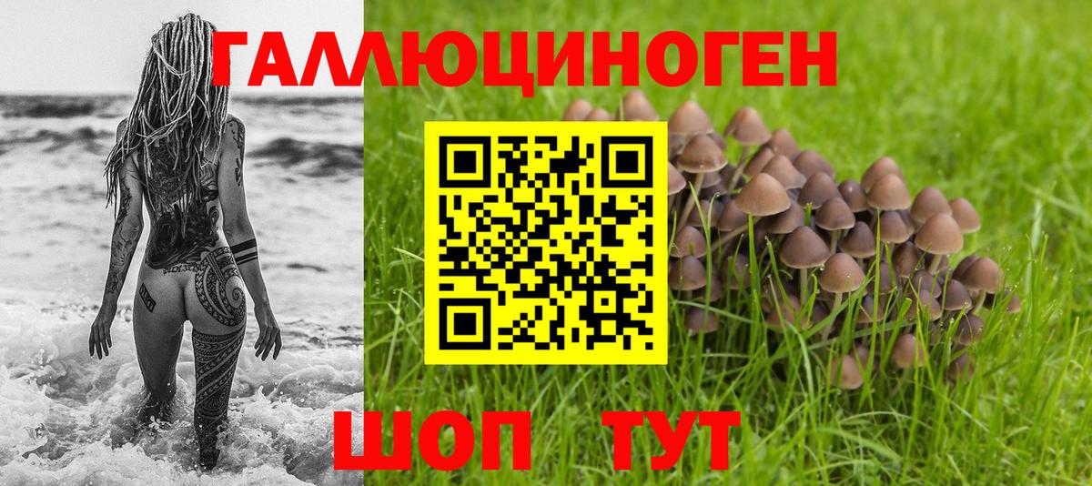 Заинск  Псилоцибиновые грибы мухоморы  Вход с VPN 